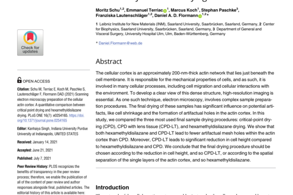 Scanning Electron Microscopy Preparation of the Cellular Actin Cortex: A Quantitative Comparison Between Critical Point Drying and Hexamethyldisilazane Drying first page