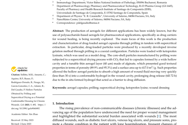 Hollow Particles Obtained by Prilling and Supercritical Drying as a Potential Conformable Dressing for Chronic Wounds first page